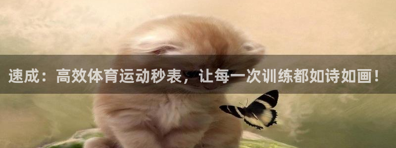 A8体育进x655 in：速成：高效体育运动秒表，让每一次训练都如诗如画！