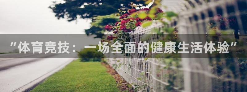 A8体育app官方下载入口