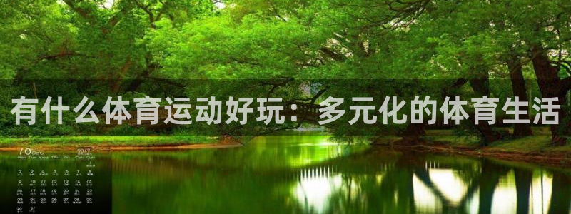 a8体育app下载：有什么体育运动好玩：多元化的体育生活